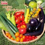  предварительный заказ распродажа tougalasi рассада аромат - lape-nyo12cm pot большой рассада серьезность овощи красный острый перец перец стручковый овощи рассада огород hlv 4 месяц последняя декада после отправка 