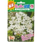 球根 オーニソガラムの通販 価格比較 価格 Com