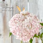 предварительный заказ распродажа гортензия дыра be Lulu parfait 10.5cm pot регистрация товар вид hyde Ran jia рассада цветок рассада саженец .... фиолетовый . цветок krt 10 месяц последняя декада после отправка 