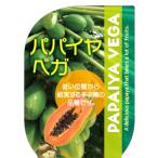  предварительный заказ распродажа папайя рассада Vega 3.5 номер pot тропический фрукты овощи рассада огород 4 месяц последняя декада после отправка 