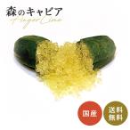 フィンガーライム フレバリーグリ