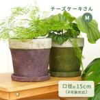 ショッピング植木鉢 カラーが選べる植木鉢 チーズケーキさん Mサイズ 資 PP-0111M 4号 受皿付 陶器 鉢 インテリア 多肉植物 おしゃれ 観葉植物 plt