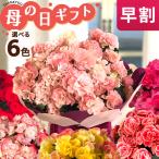 母の日 プレゼント リーガースベゴニア  ロネ 4.5号鉢 送料無料 母の日ギフト 花 鉢植え エラチオールベゴニア best