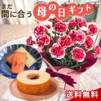 母の日 プレゼント 選べる 花とお菓子 カーネーション いちごホイップ 4号鉢 バウムクーヘン フィナンシェ 花とセット 送料無料 母の日ギフト 花 鉢植え