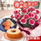 ショッピング配送日指定 【クーポン配布中】花とお菓子 カーネーション いちごホイップ 4号鉢 バウムクーヘン フィナンシェ クッキー 花とセット 送料無料 母の日ギフト 花 鉢植え