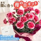 \まだ間に合う/ 母の日 プレゼント カーネーション いちごホイップ 4号鉢 KINS フェイスマスク 4枚セット キンズ 花とセット 送料無料 母の日ギフト 花 鉢植え