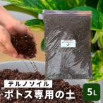 .terunoso il 5L декоративное растение pothos teruno земля cубстрат .. изменение растение в горшке садоводство сопутствующие товары интерьер 