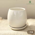 .DOL-02 WH 4 номер .. type . тарелка есть керамика горшок цветочный горшок интерьер суккулентное растение модный декоративное растение mrk