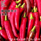  предварительный заказ распродажа tougalasi рассада Корея красный острый перец futoshi реальный 9cm pot красный острый перец перец стручковый овощи рассада огород nft 5 месяц последняя декада после отправка 