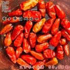  предварительный заказ распродажа tougalasi рассада моно chi Copel -9cm pot красный острый перец перец стручковый овощи рассада огород nft 5 месяц последняя декада после отправка 