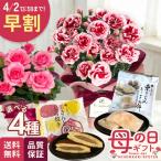 ＼ 早割 ／ 母の日 プレゼント 選べる お花とお菓子 カーネーション ミニバラ 4号鉢 栗きんとん どら焼き 送料無料 母の日ギフト 花 鉢植え 日本花キ流通
