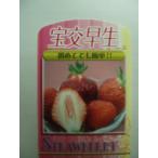  клубника рассада ... сырой pot рассада 