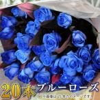 花 誕生日 プレゼント 20歳 成人祝 記念日 20年 花束 バラ 青いバラの花束 20本 ブルーローズ プロポーズ 青いバラ20本の花束