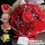 母の日ギフト カーネーション ははの日 2025 誕生日 プレゼント ギフト 花 花束 黄色 ピンクブーケ 生花 そのまま飾れる不思議なブーケ カーネーションのブーケ