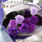 誕生日 花 プレゼント お祝い 花束 記念日 花 ギフト ムーンダスト 花束 青いカーネーション ムーンダスト20本の花束 男性から女性