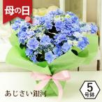 母の日ギフト プレゼント 花 あじさい 紫陽花 アジサイ 銀河 5号鉢