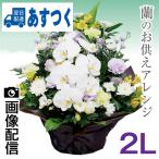 お供え 花 供花 仏壇 フラワーギフト お悔やみ 枕花 胡蝶蘭 宅配 仏花 法事 法要 四十九日 一周忌 お彼岸 命日 蘭のお供えアレンジ 2L
