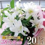 母の日 誕生日 花 プレゼント 誕生日 花束 ユリ 白い百合の花束 20輪 結婚記念日 お悔やみ お供え 花束 ユリ ゆり 豪華大輪 白いユリ20輪の花束