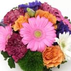 花 誕生日 プレゼント フラワーアレンジメント 送料無料 デザイナーにおまかせ 季節のお花たっぷり 送別 記念日