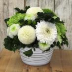  белый раунд организовать так же орнамент .. бесплатная доставка день рождения подарок отправка другой память день 