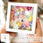 【虹の花畑】ペット お供え 写真 名入れ お悔やみ 花 お盆 初盆 新盆 花 虹 仏具 ペット仏壇 犬 猫 うさぎ 贈り物 ペット供養 データ入稿型商品