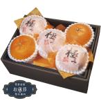 お歳暮 ダイワ果園 愛媛県産 紅まどんな MDO-60RWギフト プレゼント 贈り物 包装 熨斗 のし 無料 【LOI25歳暮】