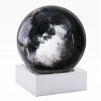 COOL SNOW GLOBES ECLIPSE　（クール スノー グローブ エクリプス） 【送料無料】 【AS】