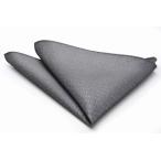 [ полцены снижение цены v] подарок pocket square silver gray ламе ввод po-super14 отметка использование 