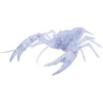 自由研究シリーズ No.24 いきもの編 アメリカザリガニ 透明 EX-3 フジミ模型 4968728171005