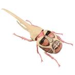 自由研究-262自由研究シリーズN...