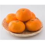 【送料無料】愛媛県産 甘平 10kg 規格外 訳あり 家庭用 かんぺい みかん 柑橘 フルーツ 期間限定(M2)　