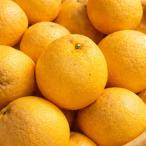 【送料無料】愛媛県産