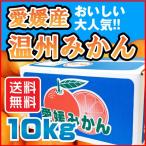 温州 みかん 10kg 愛媛県産 南柑20号 規格外 訳あり 安い 自宅用 (M2)