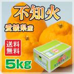 愛媛県産不知火5ｋｇしらぬい（デコポンと同品種）柑橘　手で剥いて食べられる　規格外　(M2)