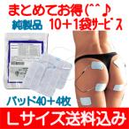 EMS для склеивание накладка акселератор защита L(5×9cm) 4 листов ввод ×10+1 пакет выгода комплект letter pack почтовый сервис * свет . отправка включая доставку 