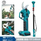 【2025年アップグレード】 電動剪定