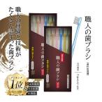 職人の歯ブラシ 先細 田辺重吉考案 歯ブラシ職人 磨きやすい 歯ブラシ ライフレンジ 6本組 2箱