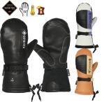 予約 25-26 eb's スノーボード ミトングローブ ゴアテックス CARVING MITT NII 4500007 エビス カービングミット GORE-TEX ebs メール便発送商品
