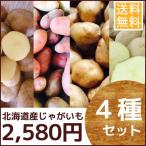 北海道産じゃがいもセット　4kg （男爵・北あかり・インカのめざめ・レッドムーン）