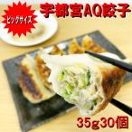 餃子 宇都宮AQ餃子 35ｇ30個入り 冷凍