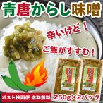 ご飯のお供 青唐辛子みそ 250g×2パック 青唐がらし味噌 おかず味噌 特産品 名物商品