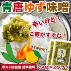 ご飯のお供 青唐ゆず味噌 250g×2パック おかず味噌 特産品 名物商品