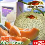 2026 год .. предварительный заказ очень большой красный мясо Suite дыня Hokkaido производство 2kg передний и задний (до и после) ×2 шар ... доставка день указание не возможно 2026 год 7 месяц сверху .~ средний . примерно .. последовательный отправка подарок на Bon Festival жара средний видеть Mai . подарок . праздник 
