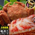 ショッピングカニ カニ激売祭り 毛ガニ 360g前後×1尾 姿 味噌 けがに 毛がに カニ 蟹 かに 脚 折脚たし脚入る場合があります