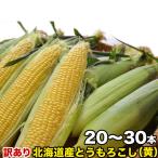 ショッピングとうもろこし とうもろこし 黄粒　訳あり 20〜30前後　北海道産 とうきび わけあり 訳有　お届け日指定不可無効　2024年8月下旬前後頃よりご注文順に発送