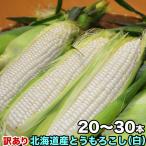 ショッピングわけあり とうもろこし 白粒　訳あり 20〜30前後　北海道産 とうきび わけあり 訳有　お届け日指定不可無効　2024年8月下旬前後頃よりご注文順に発送