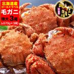 特大 毛ガニ 570g 前後×3尾セット 北海道産 姿 味噌 けがに 毛がに カニ 蟹 かに 脚 折脚たし脚入る場合があります