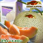 2026 год .. предварительный заказ красный мясо Suite дыня Hokkaido производство 1.3kg передний и задний (до и после) ×2 шар ... доставка день указание не возможно 2026 год 7 месяц сверху .~ средний . примерно .. последовательный отправка подарок на Bon Festival жара средний видеть Mai . подарок . праздник 