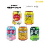 韓国ジュース 24本セット すりおろし梨、もも、ぶどう、シッケ、スジョンガ 238ml×24本 4種 ボンボン ヘテ ※缶に凹みがある場合がございます。