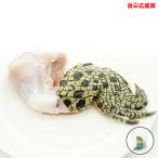 商品画像3